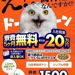 派遣社員若干名募集！！社宅、赴任旅費あり！気軽にメッセージple...