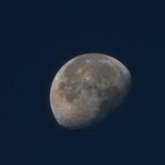 生後5ヶ月 Galaxy S22 Ultra 5G SM-S9080 12/256GB SIMフリー (バーガンディ レッド)  
