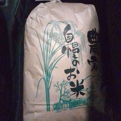 福井県産コシヒカリ令和4年産玄米10キロ