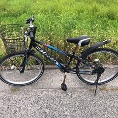 （決まりました）自転車