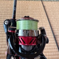 アジング、メバリングセット『10月31日まで投稿』