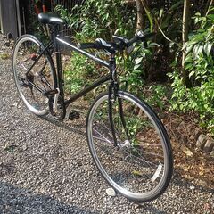 ★お届け可！★ 700✖28C 自転車  『momentum INeed S-3』 シマノ7段変速