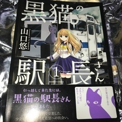 【ネット決済・配送可】黒猫の駅長さん