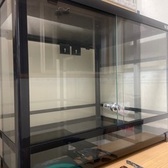 ガラス温室&爬虫類ケージ　掲載11月まで