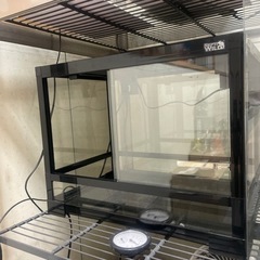 ガラス温室&爬虫類ケージ　掲載11月まで