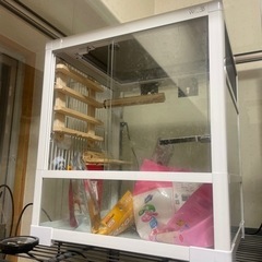 ガラス温室&爬虫類ケージ　掲載11月まで