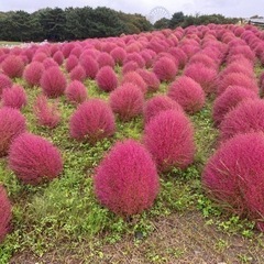 おやすみくん♡