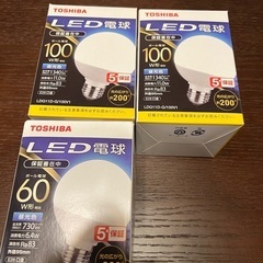 LED100形2灯　60形