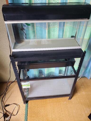 ☆水槽☆60cm上下2個セットです。