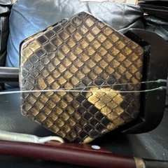 値下げしました！黒檀二胡 ハードケース 送料込 絶対うまくなる二胡