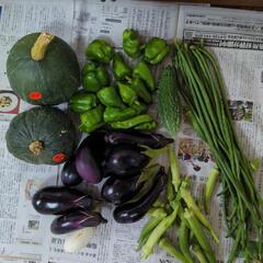 訳ありのカボチャと野菜のセット②