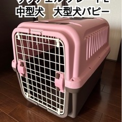 リッチェルのクレートL 中型犬 大型犬パピー