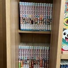 ワンピース　漫画【値下げ】