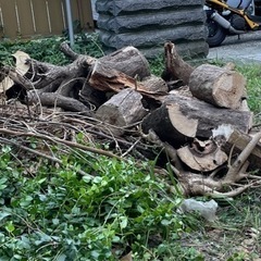 薪　伐採した木