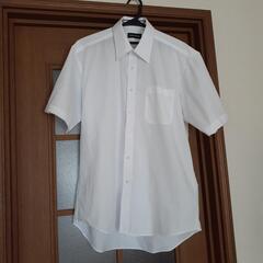 白　半袖カッターシャツ