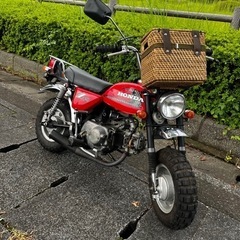 【ネット決済】 人気ホンダ モンキー 初期Z50J カスタム実動...