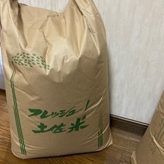 新米コシヒカリ　