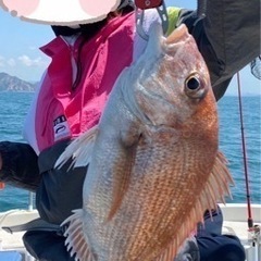 タイラバ入門セット一式　ダイワ