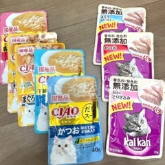 猫のごはんセット