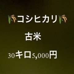 令和4年コシヒカリ古米　30キロ5000円！