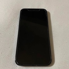 iPhone12 promax