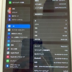 まだあります iPad mini（第5世代/2019） Cellular 64GB シルバー MUX62J/A