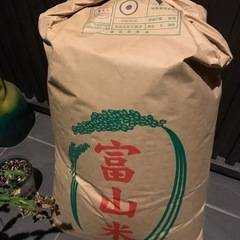 お待たせしました！コシヒカリ新米30kg！早い者勝ち