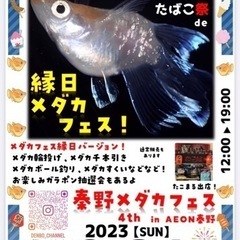 メダカすくい300円！9/24 秦野たばこ祭でメダカフェス！