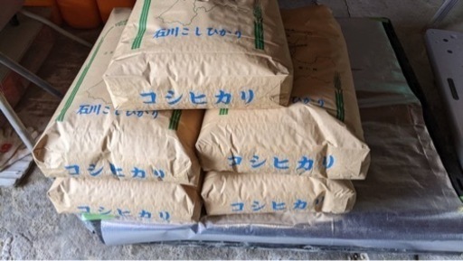 令和5年新米コシヒカリくず米能登産117kg