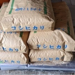 令和5年新米コシヒカリくず米能登産117kg