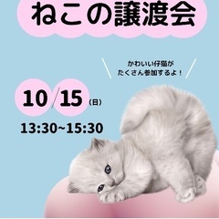 10月15日【ねこの譲渡会】in可児市