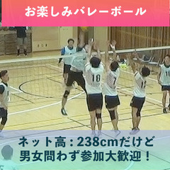 11/3(金祝) 『お楽しみバレーボール会 2023 冬』誰でも...