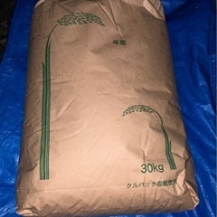 ② R4年 コシヒカリ玄米 一袋30キロ　残り1袋
