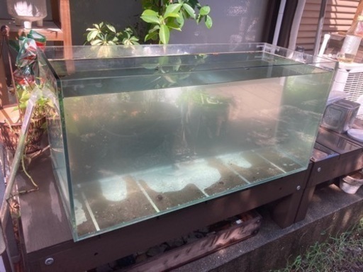 75センチオールガラス水槽