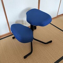 背筋まっすぐ学習椅子　勉強椅子　プロポーションチェア