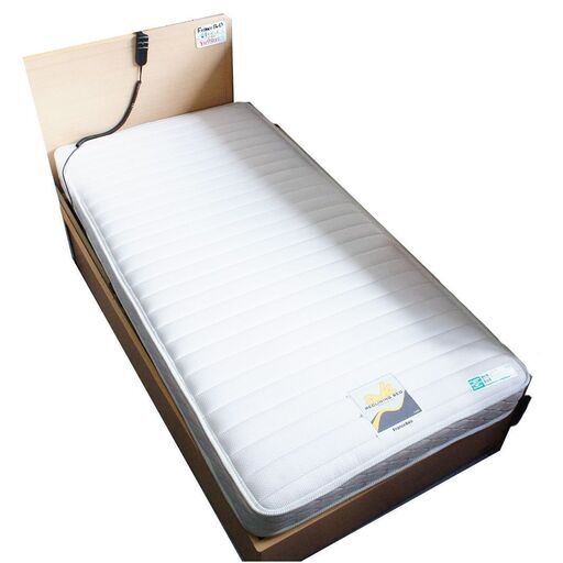 【在庫処分SALE】電動リクライニングベッド France Bed 美品☆マットレス付