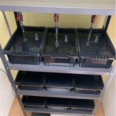 多段連結オーバーフロー循環水槽セット 中古品
