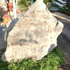 庭石、庭木　差し上げます