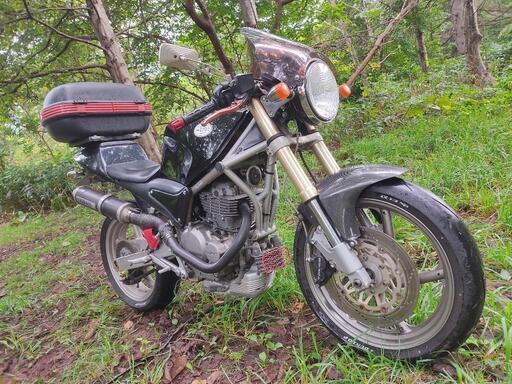 SUZUKI GOOSE350 車検取得 軽メンテ済み即乗り出し可能