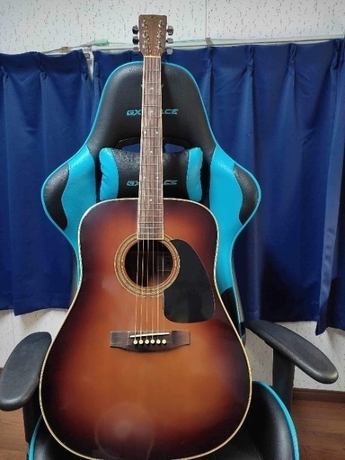 弦楽器、ギター Takamine