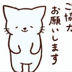 イベント時の飾りなどください。