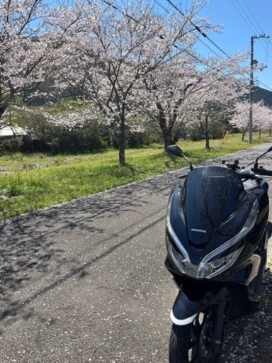PCX125 原付2種