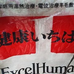 布団(シングル 温熱ヒーター付excel Human 健康いちばん