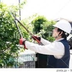 造園　造園剪定補助（見習い）熟練工　手元　草刈り等 - 京都市