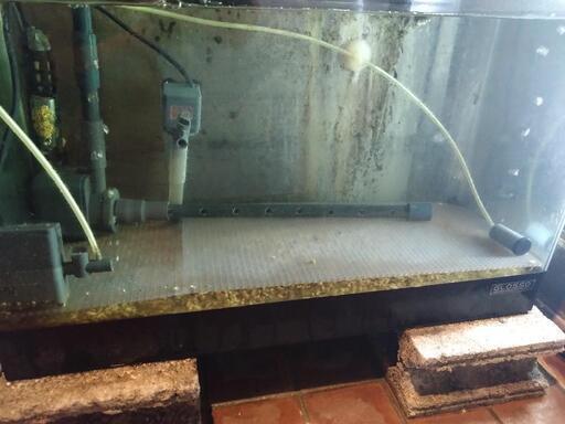 水換え不要の特殊生け簀を格安でお譲りいたします。