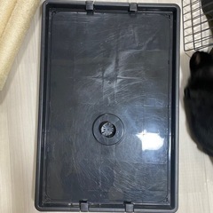 【美品おまけ付き】爪研ぎ付き猫ゲージ