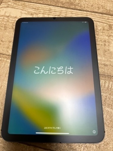 iPad mini 6 Cellular256GB スペースグレイ+おまけ