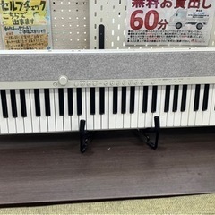 3/6値下げいたしました！⭐️人気⭐️2022年製 CASIO ...