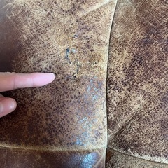 定価35万　オピマムソファ　クラッシュゲート　