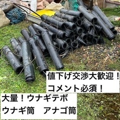 大量！ウナギテボ ウナギ筒 アナゴ筒 大量！